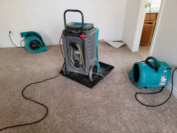 Best Commercial water damage restoration  in El Mirage, AZ
