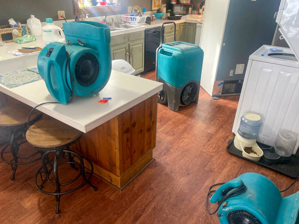Best Professional water damage repair  in El Mirage, AZ