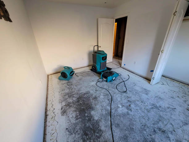 Best Flood damage cleanup  in El Mirage, AZ