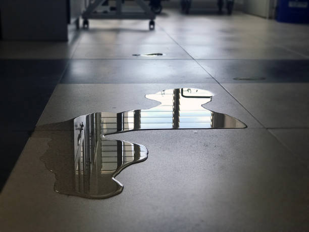 Best Carpet water damage restoration  in El Mirage, AZ