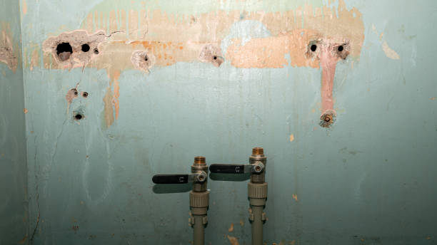 Best Basement water damage restoration  in El Mirage, AZ