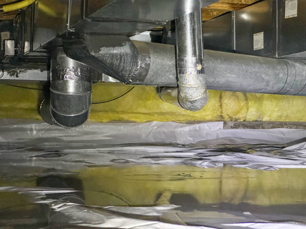 Best Water damage restoration services  in El Mirage, AZ