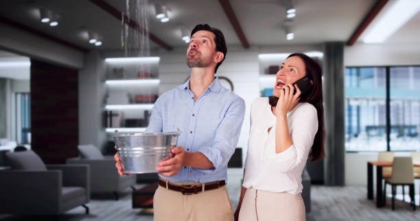 Best 24-hour water damage restoration  in El Mirage, AZ